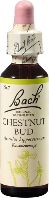 BACH-BL&Uuml;TEN Original Chestnut Bud No07 20 ml