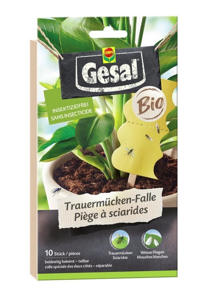 Gesal Trauermücken-Falle Bio (10 Stück)