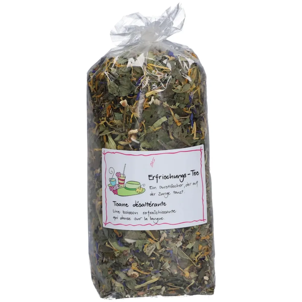 Herboristeria Tee Erfrischung im Sack (80g)