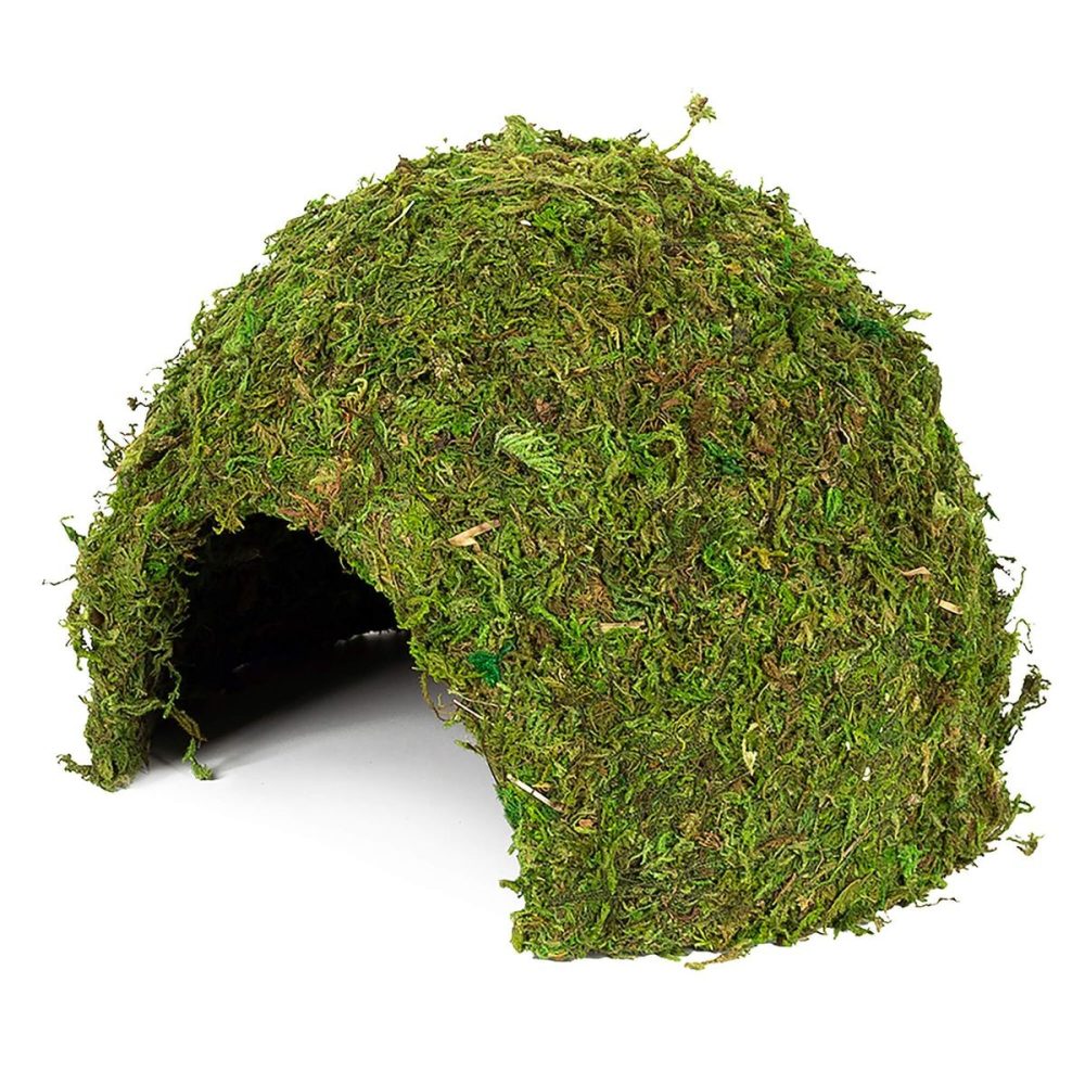Hobby Jungle Cave grün, 17x17x12cm (1 Stk)
