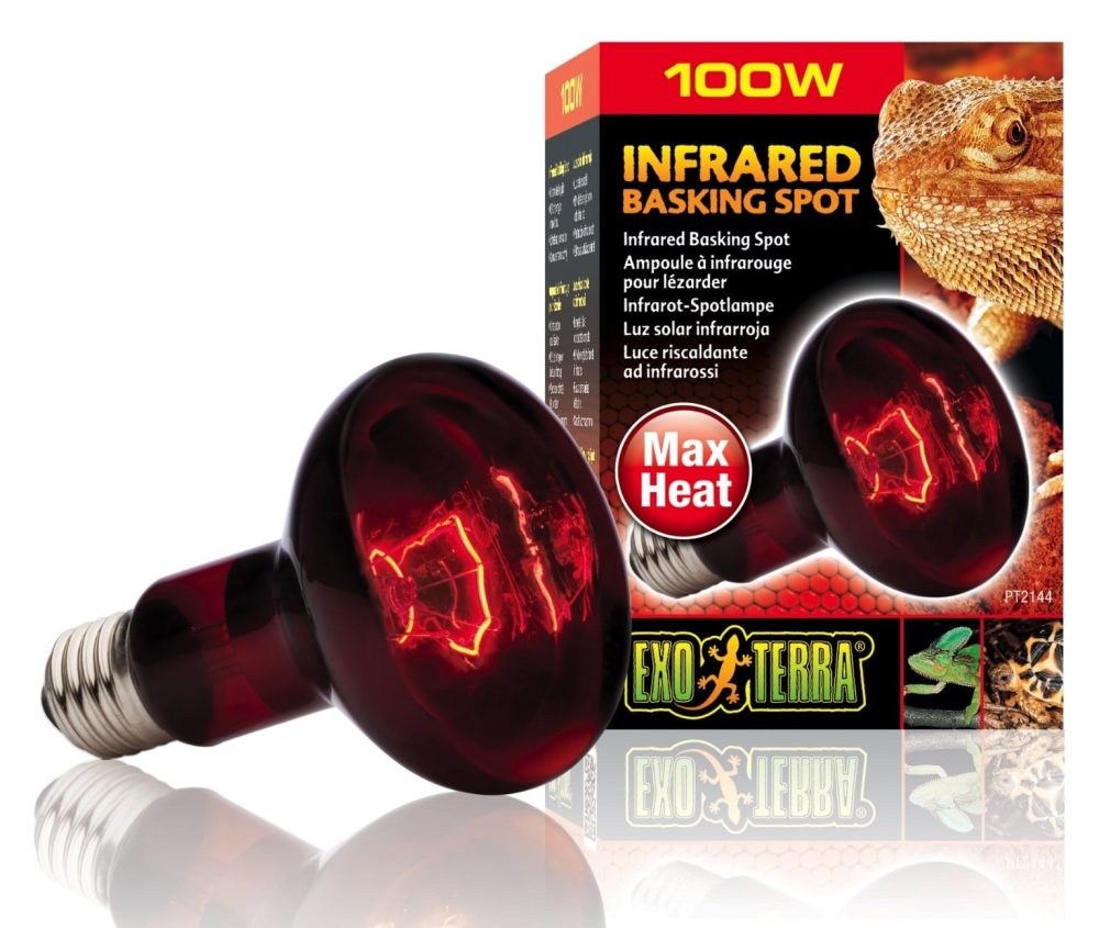 Exo Terra Infrared Basking Spot Infrarot Glühbirne 100W (1 Stk)