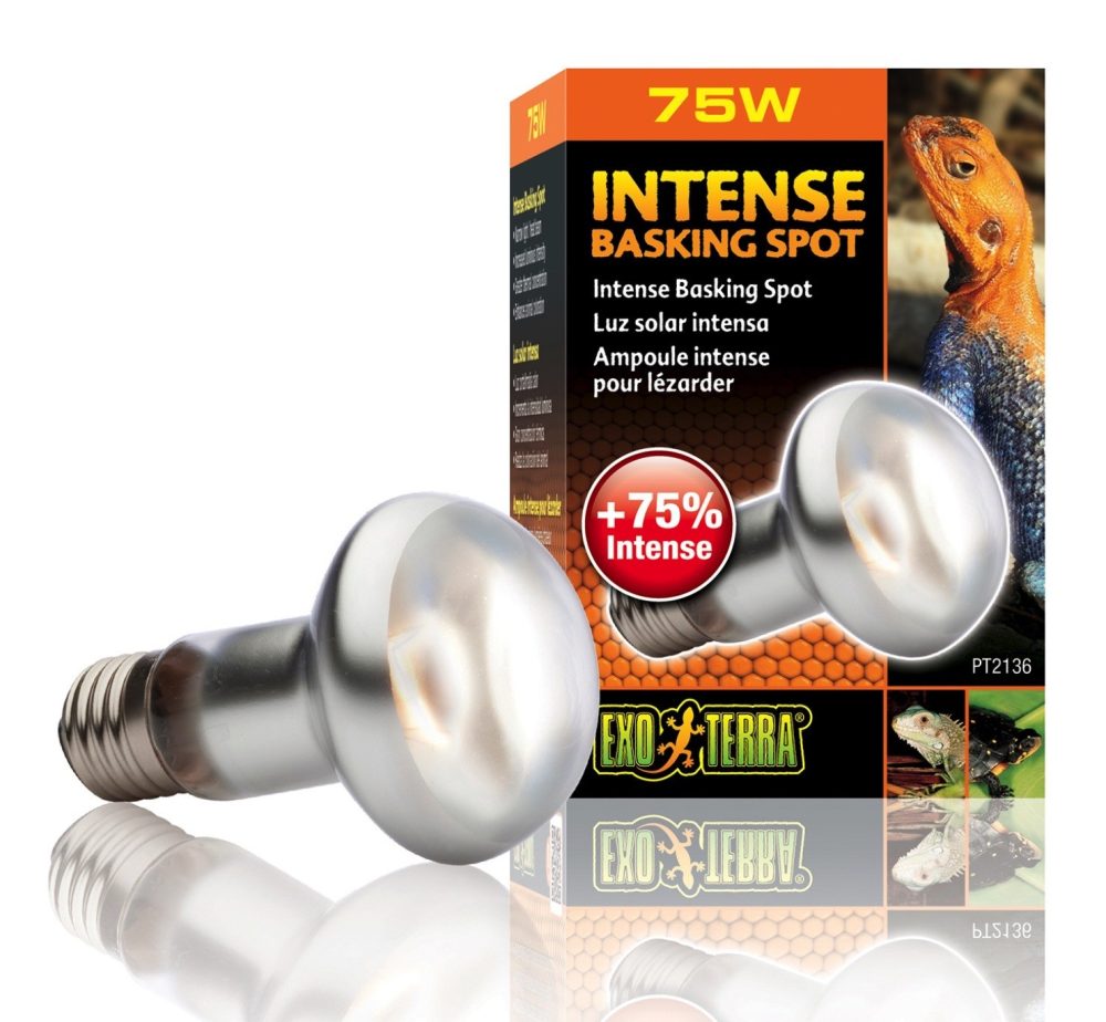 Exo Terra Intense Basking Spot Wärmespotlampe 75W (1 Stk)