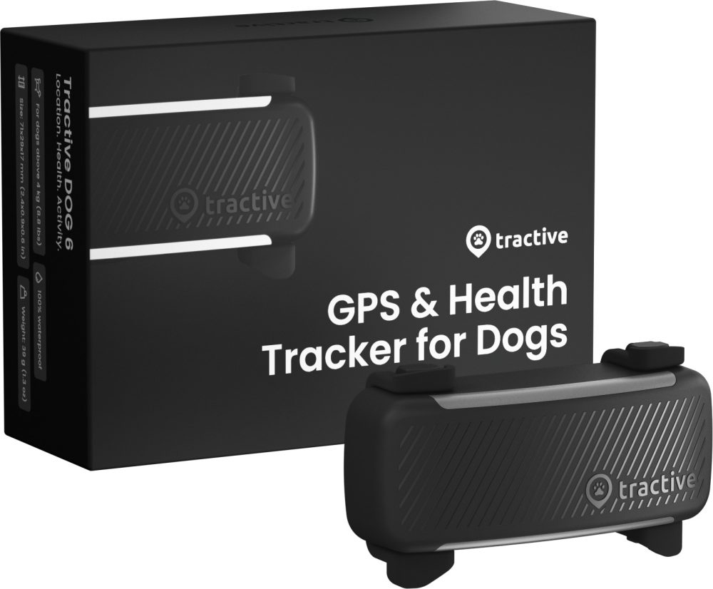 Tractive DOG 6 schwarz
