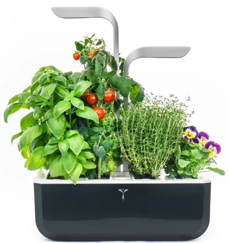 VÉRITABLE SMART Indoor-Gemüsegarten Schwarz