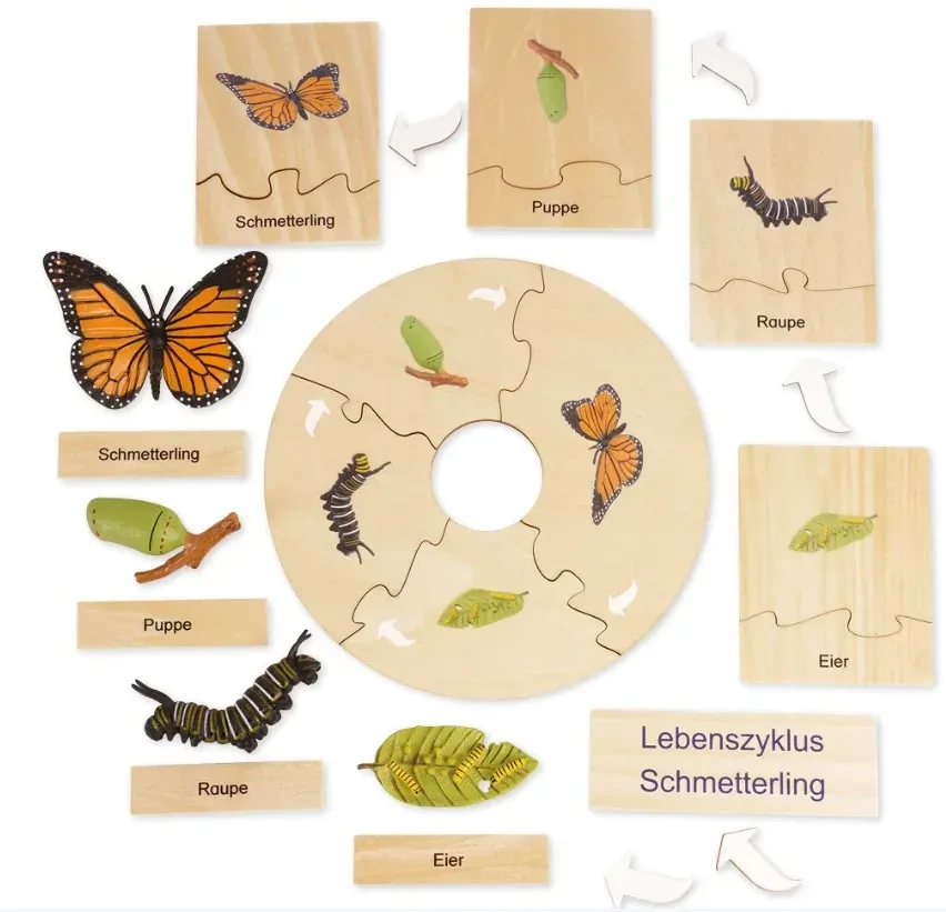 TimeTEX Lebenszyklus eines Schmetterlings, in Holzbox Montessori Premium (1 Stk)
