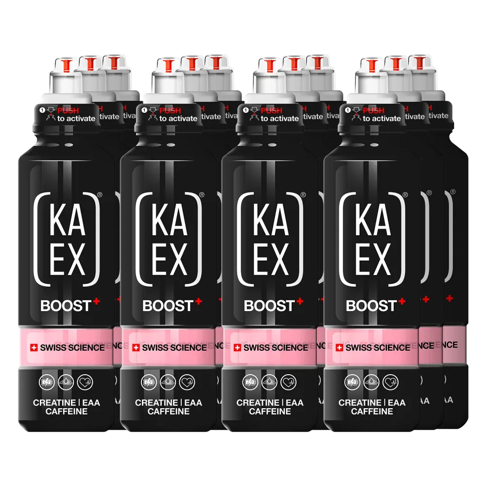 KA-EX GO EAA+ CREATINE BOOSTER (12x460ml)