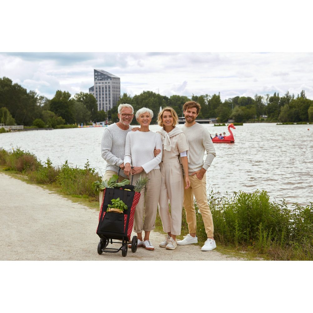 Einkaufstrolley Quattro Shopper Janne
