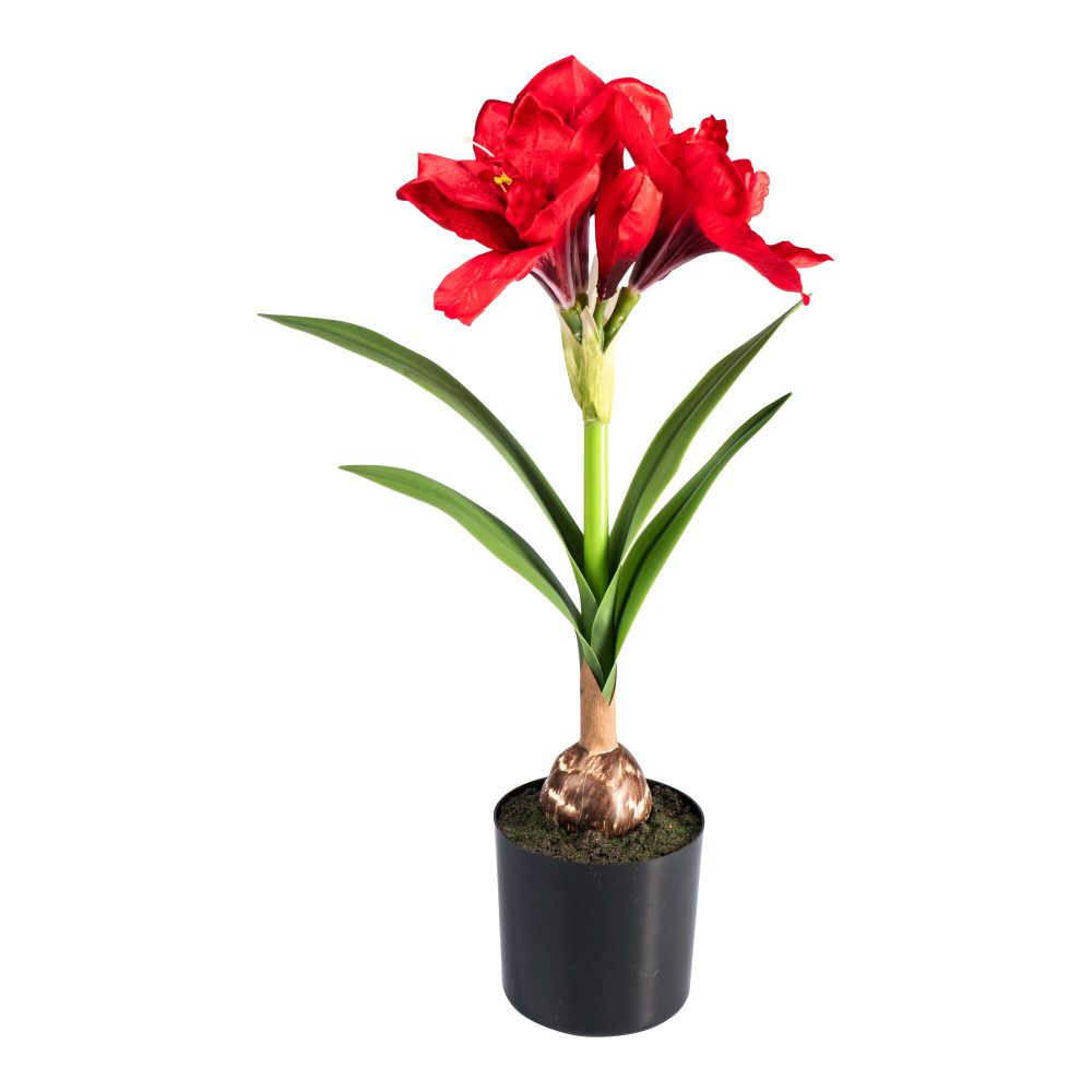 Kunstblume ?Amaryllis?