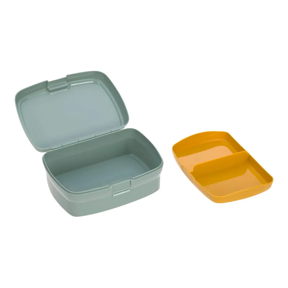 Lunchbox Adventure