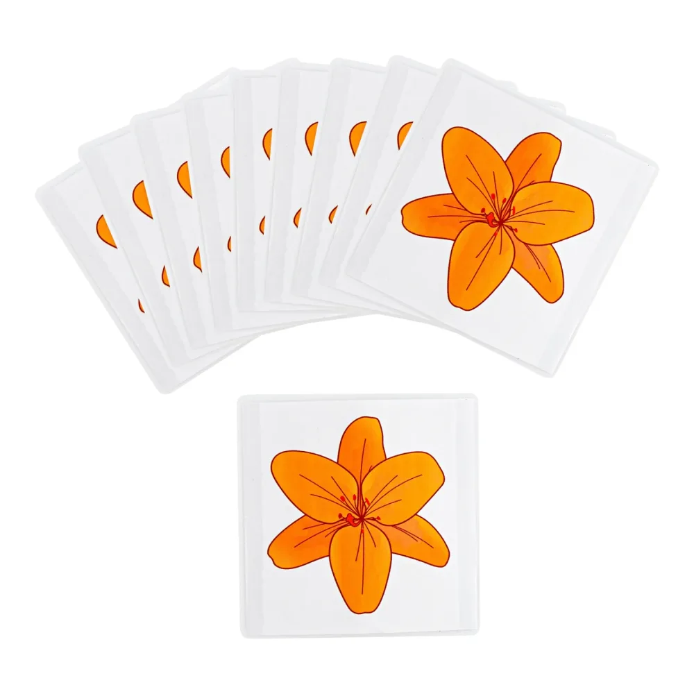 Fliegenfalle 