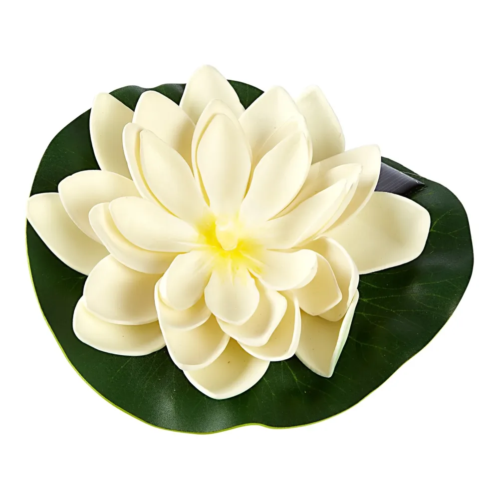 Solar-Seerose, weiß