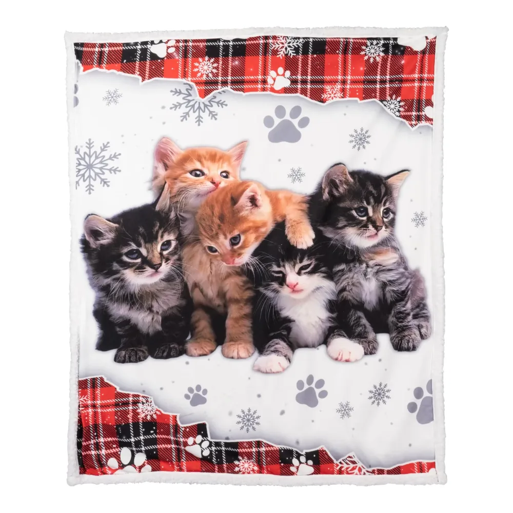 Kuscheldecke ­?Katzen-Kindergarten?