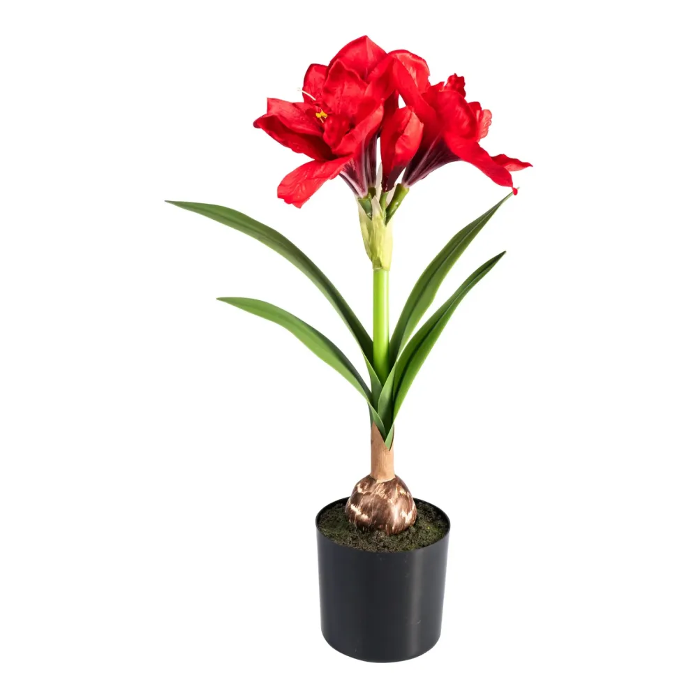Kunstblume ?Amaryllis?