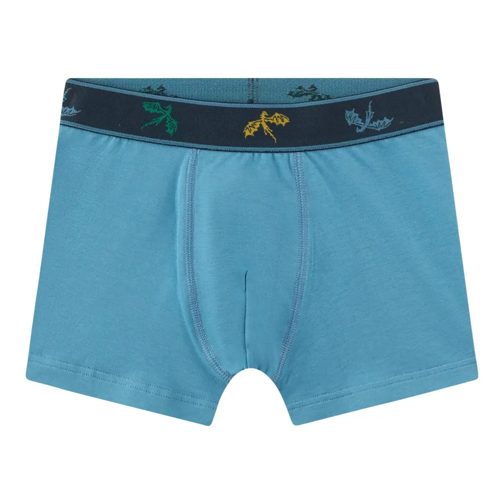 Sanetta 2er-Pack Boxershorts Drache marine/türkis