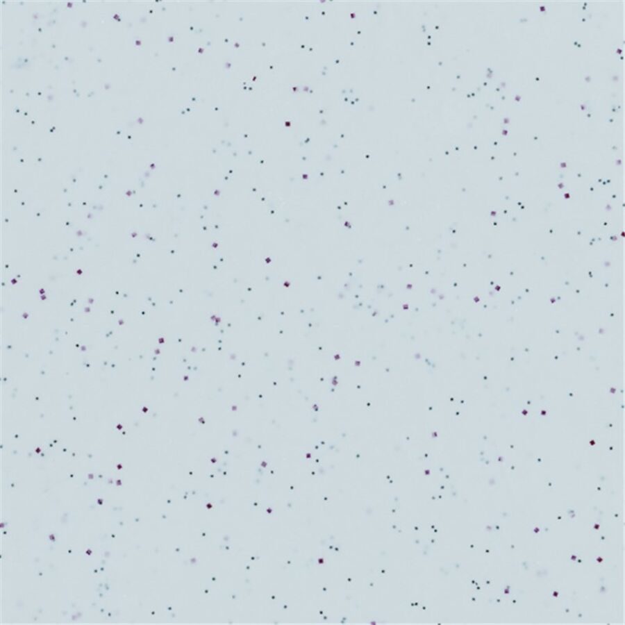 Diverse Tablett Roltex Grau Kunstharz 53 cm 32.5 cm - Material: Melamin - Tablett