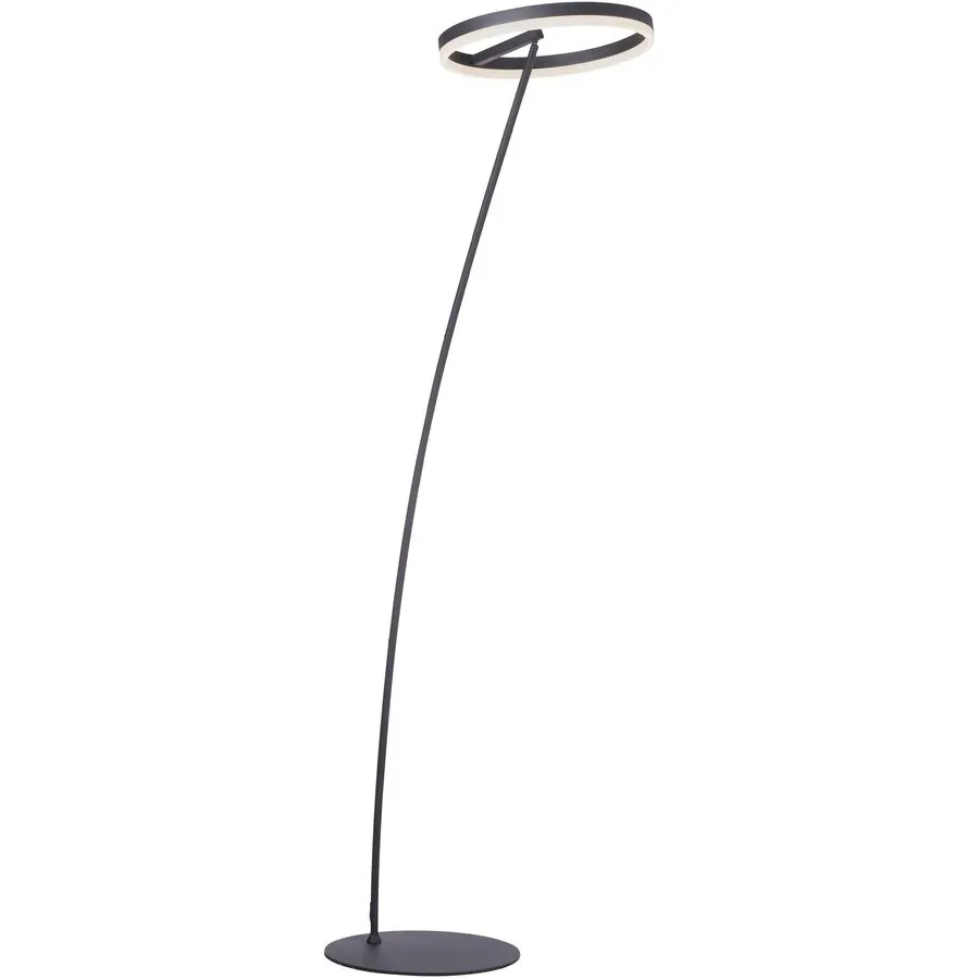 Stehlampe Titus Grau Aluminium 40 cm 198 cm - Farbe: anthrazit - LED - Lichtfarbe: Warmweiss - Stehlampe- LED Energiesparlampe