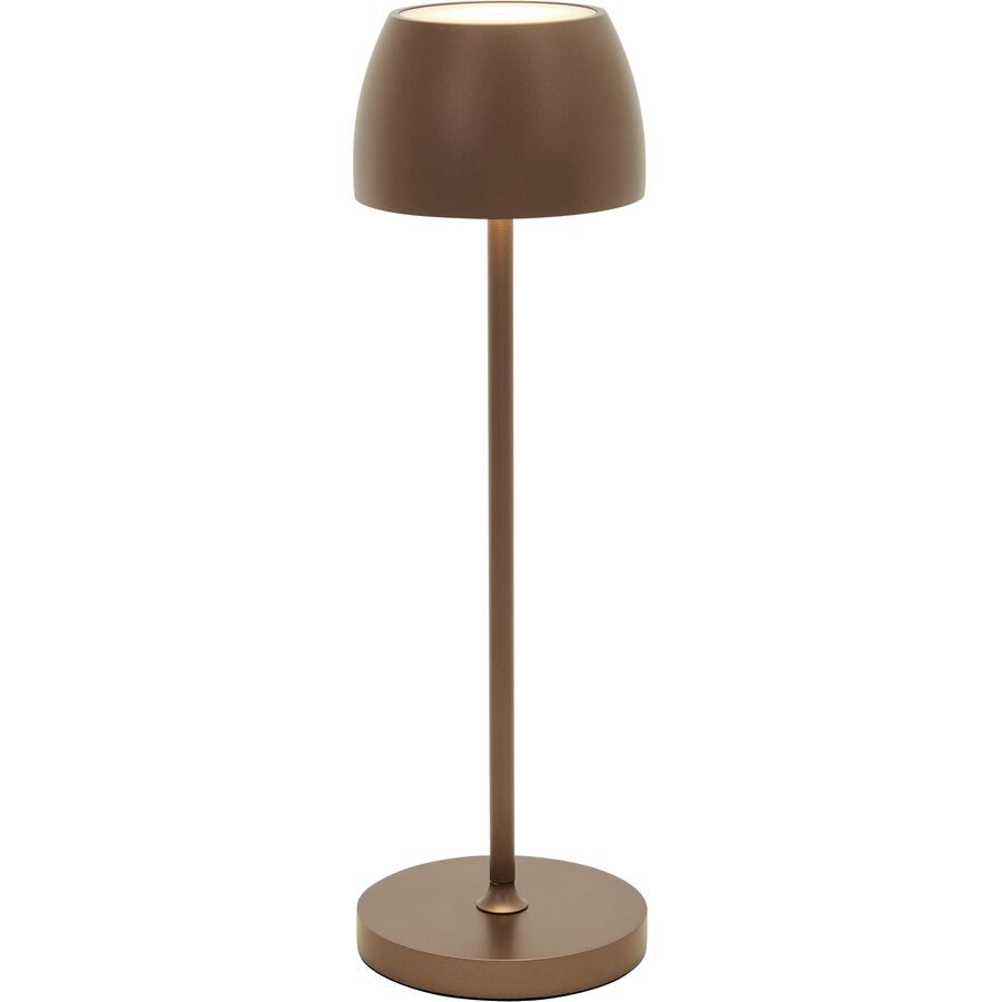 Tischlampe Lana Bronze Aluminium/Kunststoff - LED - Tischlampe- LED Energiesparlampe