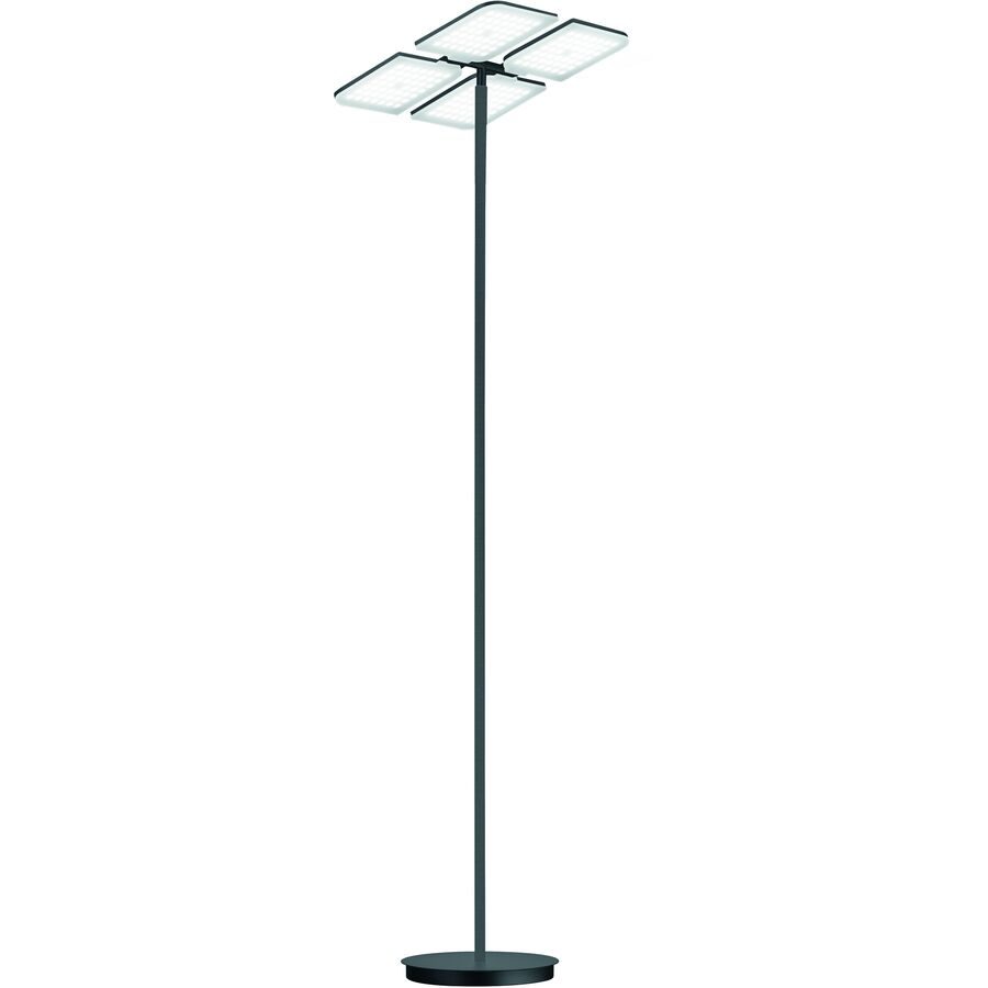 Designer-Stehlampe Bankamp Quadro anthrazit dimmbar H 190 cm - Farbe: anthrazit matt eloxiert - LED - Lichtfarbe: Extra warmweiss - Kaltes Tagesweiss