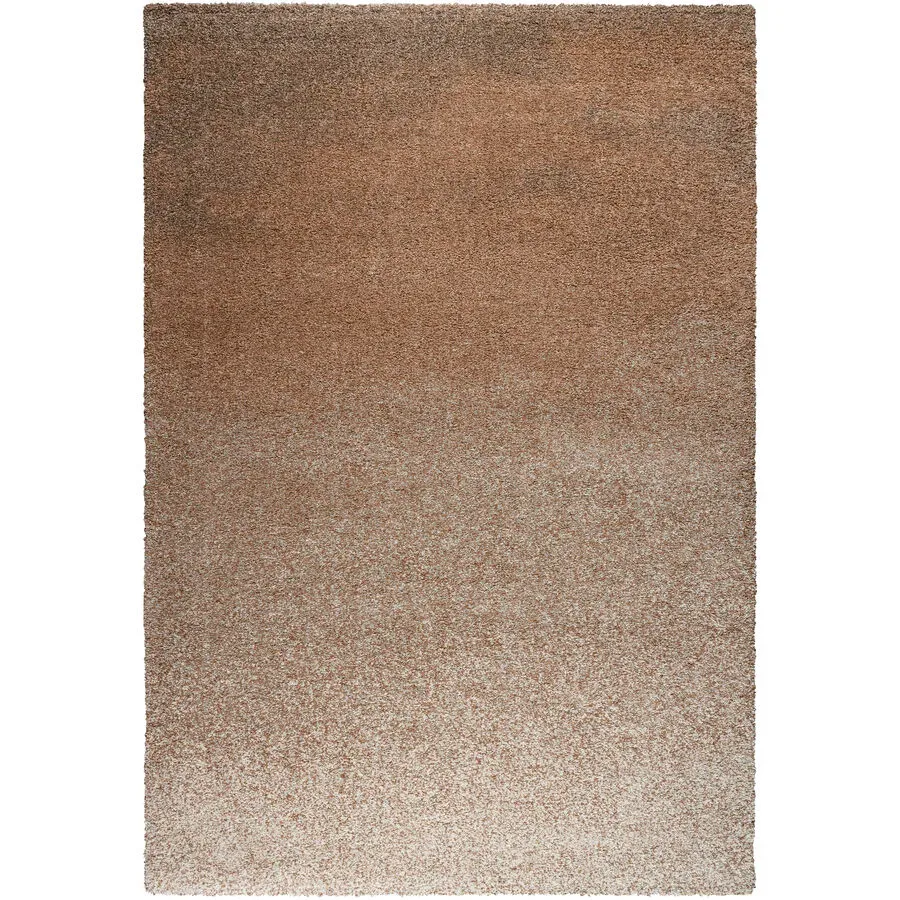 Teppich Veya Braun Polyethylen 120 cm 170 cm - Material: Polypropylen - Teppich