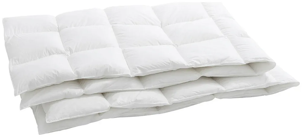 billerbeck Bern 90 Duvet 160x210