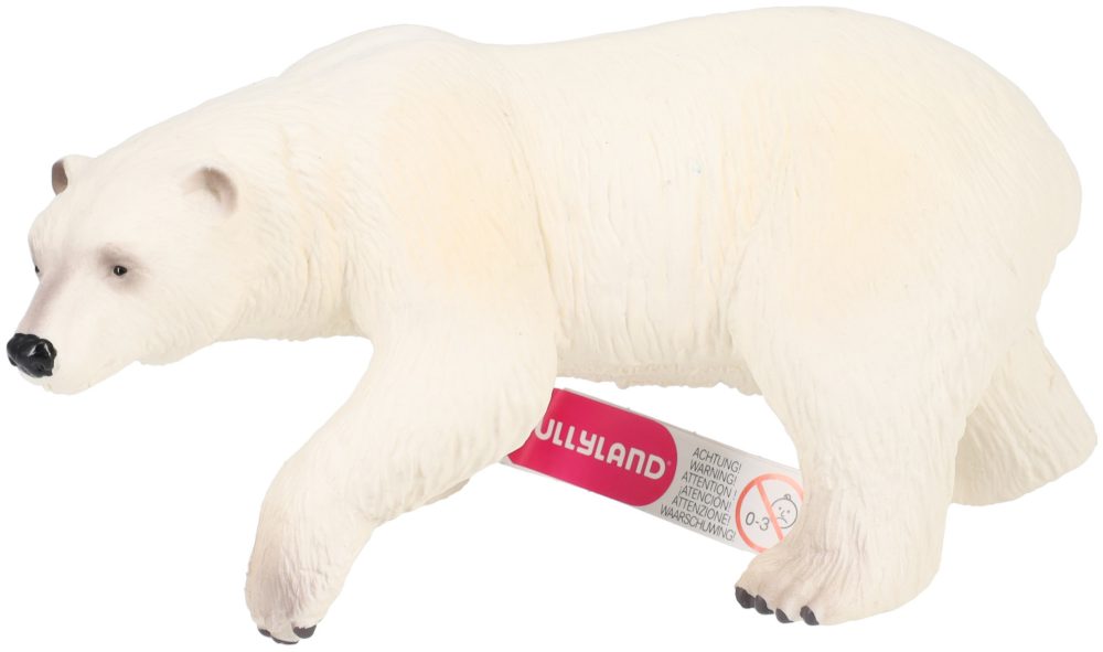 Eisbär