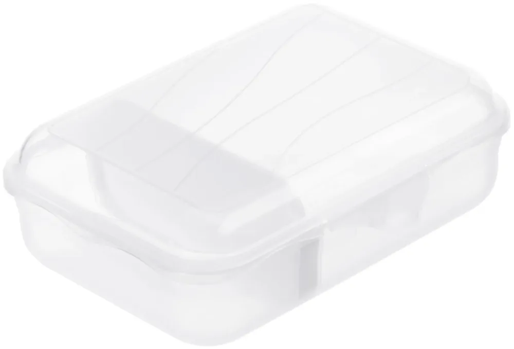 Rotho Fun Vesperbox S mit herausnehmbarer Trennwand 0.9l