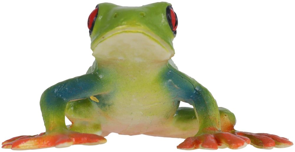 Rotaugenlaubfrosch