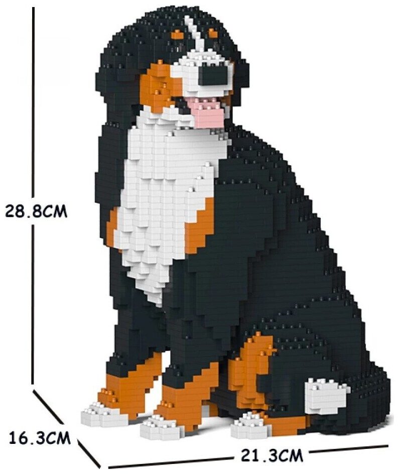Jekca Berner Sennenhund