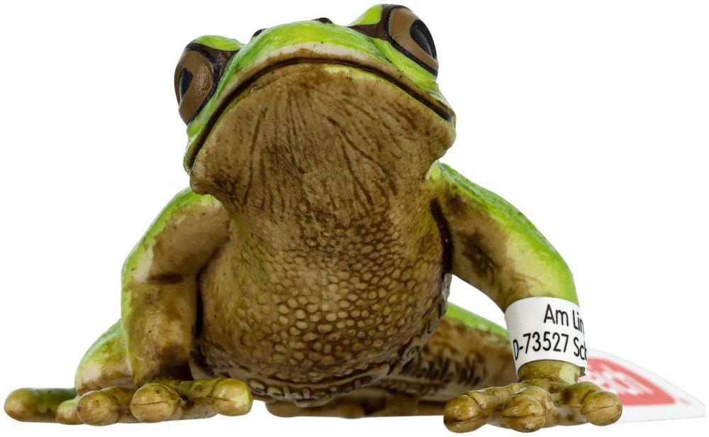 Schleich - 14882 Europäischer Laubfrosch, Multicolor