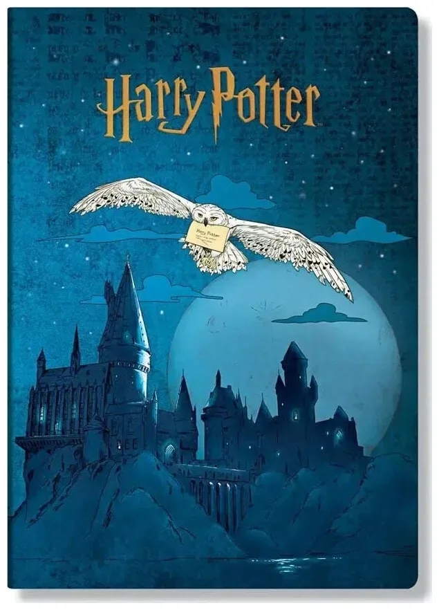 Paperblanks Notizheft Aufbruch nach Hogwarts A6 Karo