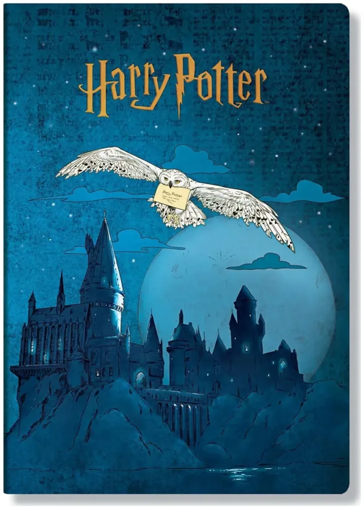 Paperblanks Notizheft Aufbruch nach Hogwarts A4 Karo