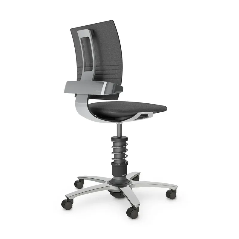 nv without armrests, Gray/High-gloss polished, New, Ergonomic chair - ideal for flexible working