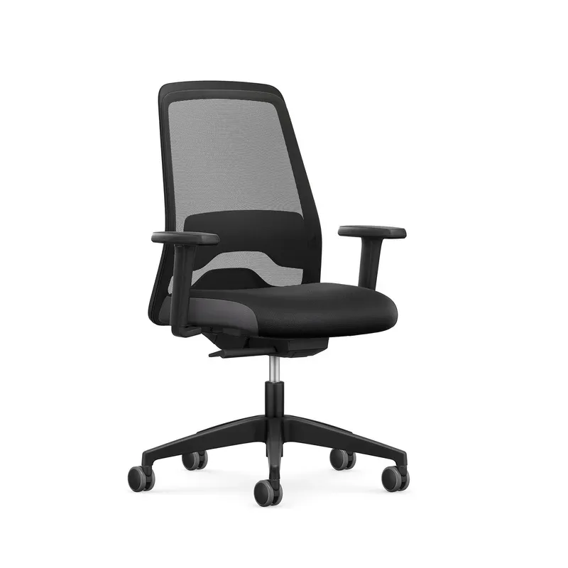 Interstuhl EVERYis1 office chair with mesh backrest, with 2D armrests Black/Black, New