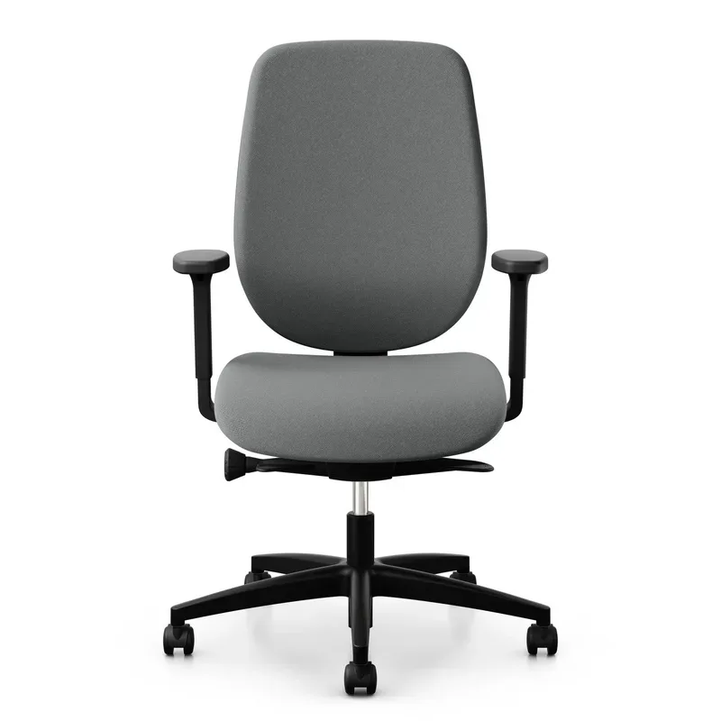 Office swivel chair Giroflex 353-4529 with 2D armrests, Gray/Black, New, Ergonomic chair - ideal for flexible working