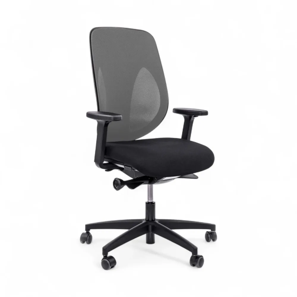 Bürostuhl Giroflex 353-4029 ohne Kopfstütze & mit 2D Armlehnen Grau/Schwarz, Neu, Ergonomischer Stuhl - ideal für flexibles Arbeiten
