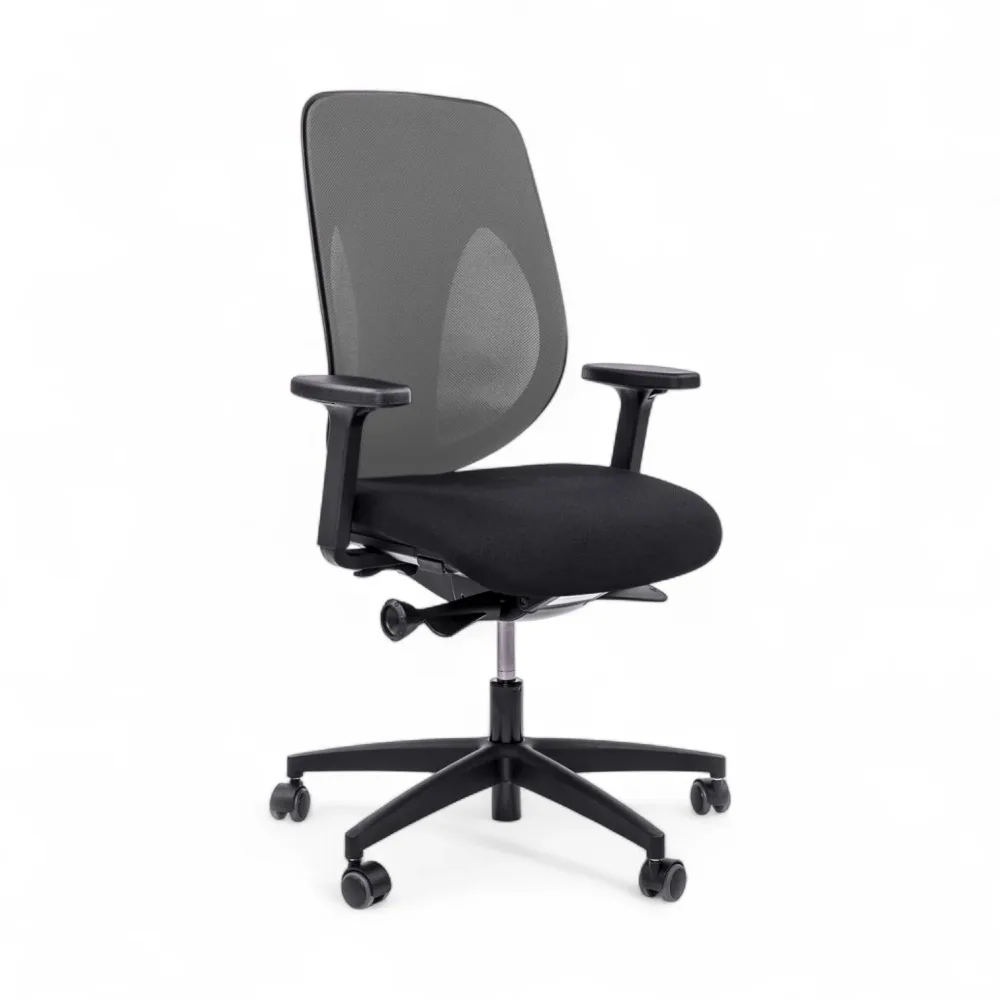 Bürostuhl Giroflex 353-4029 ohne Kopfstütze & mit 2D Armlehnen Grau/Schwarz, Neu, Ergonomischer Stuhl - ideal für flexibles Arbeiten