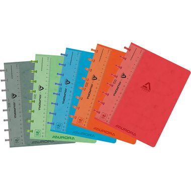 ADOC Ringbuch LIN-EX A5 3884.74 assortiert, kariert 144 Seiten