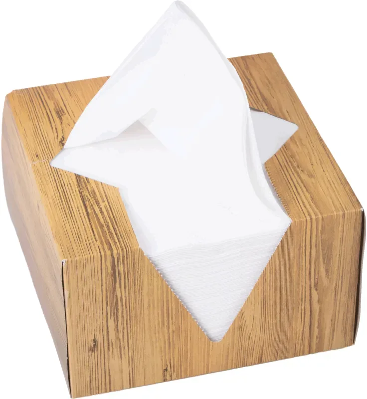 ELCO Serviettenbox 33x33cm 33402100-001 3-lagig, weiss 100Stk. 3-lagig, weiss 100Stk.