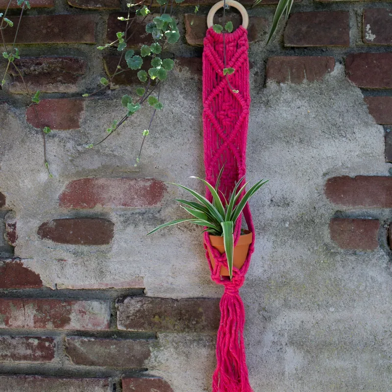 Hoooked DIY Macram&eacute;-Set Spesso Pflanzenh&auml;nger Bali 500 g Kn&auml;uel, Holzring, Coral