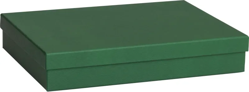 STEWO Geschenkbox One Colour 2551782693 gr&uuml;n dunkel 24x33x6cm