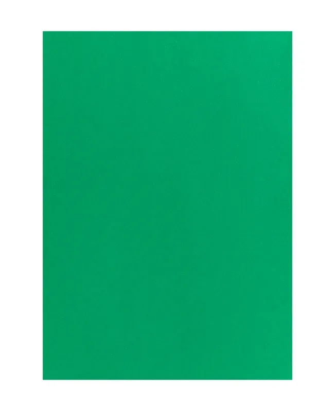 MAREIN Tonpapier 50x70cm MPA2901208327 120g, tannengr&uuml;n