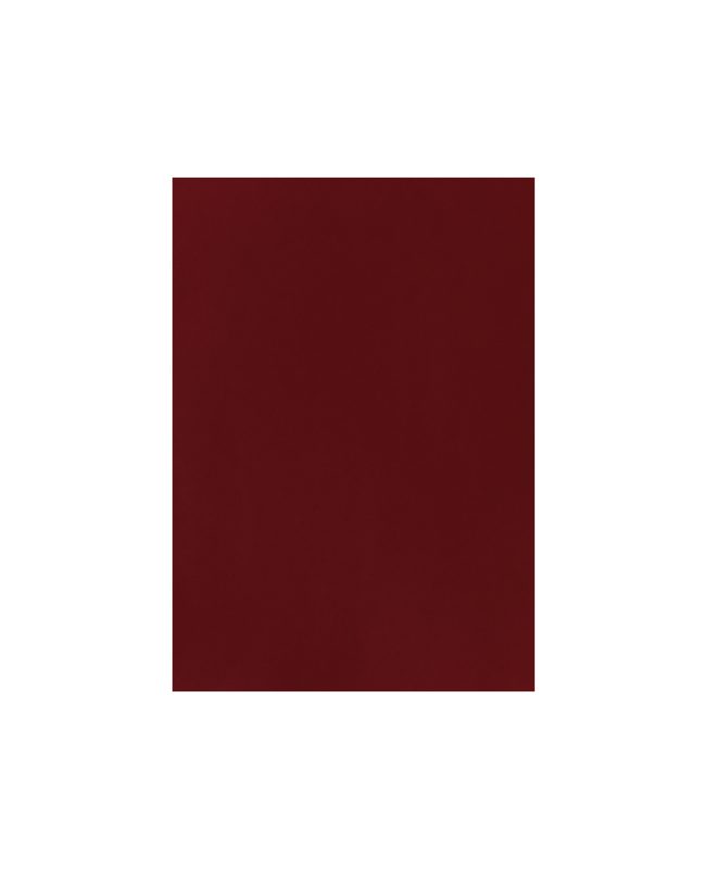 MAREIN Tonpapier A4 MPA2903008328 120g, rubinrot