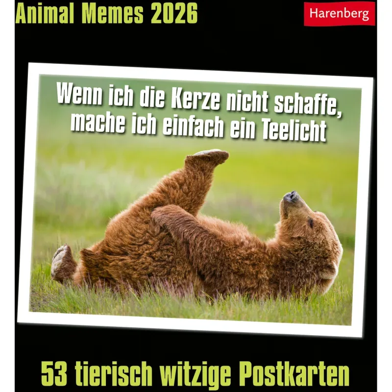 HARENBERG Postkartenkalender 2025 3310183+25 Animal Memes 16x17.5cm