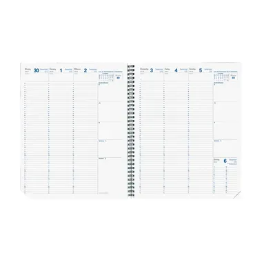 QUO-VADIS Ersatzinhalt Eurequart 2026 026003Q 1W/2S Impala DE 24x30cm