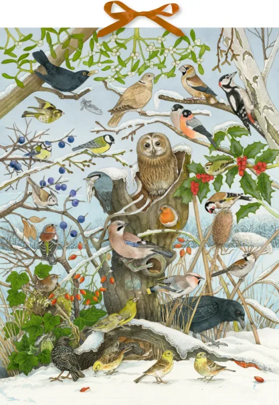 COPPENRATH Sound Adventskalender 95250 Unsere V&ouml;gel im Winter