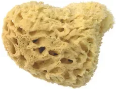 Herba Echter Naturschwamm, &Oslash; 11 cm