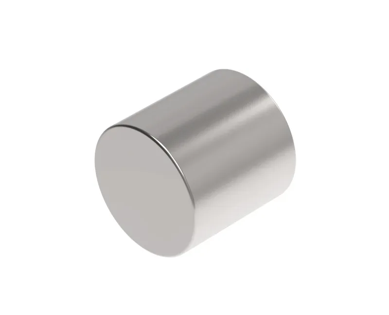 MAUL Neodym-Zylindermagnet10x10 6166896 mm 4 kg Haftkraft, 4 St./Set
