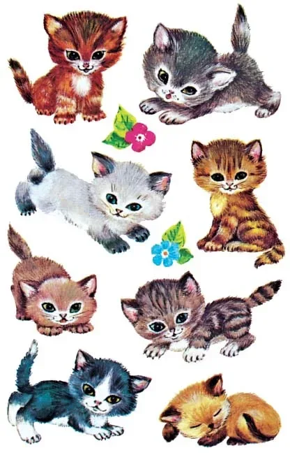Z-DESIGN Sticker Kids 4346 Katzen 3 St&uuml;ck