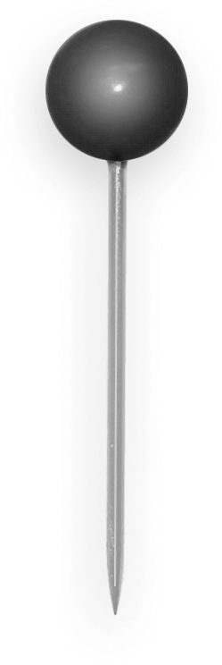 ALCO Landkartennadeln 8x16mm 811 schwarz 20 St&uuml;ck