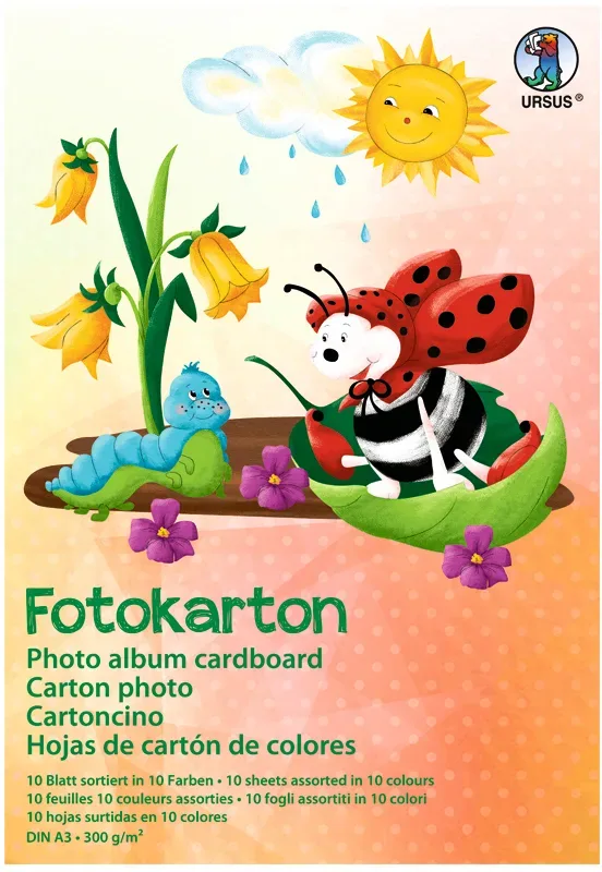 URSUS Fotokarton A3 3814099 300g, 10 Farben ass. 10 Blatt